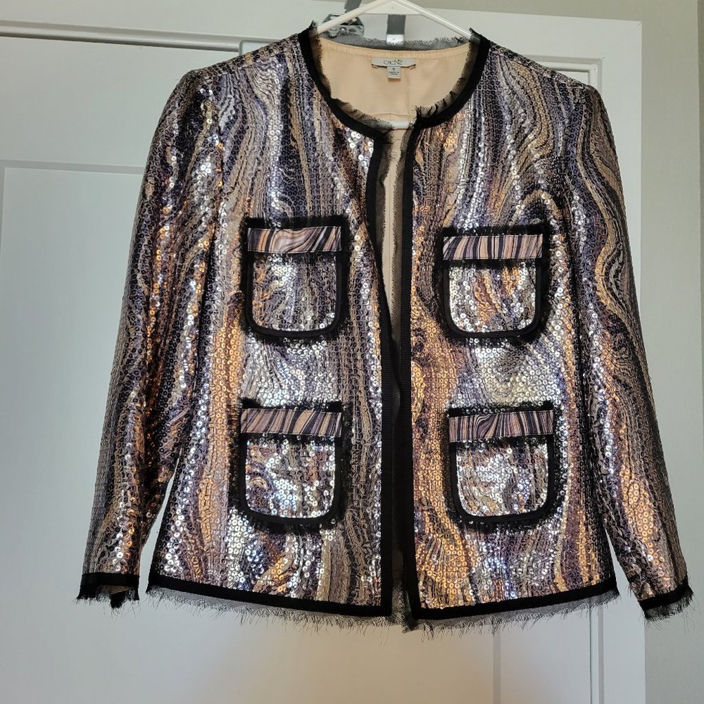 Sequin Jacket - image 1